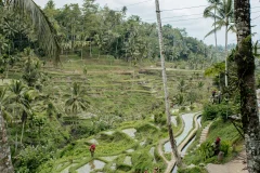 Day Trips in Bali