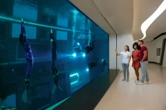 Deep Dive Dubai