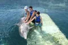 Delphinus Xcaret