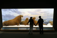Denver Museum of Nature & Science