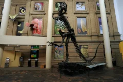 Denver Museum of Nature & Science