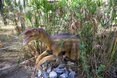 Dinopark Antalya