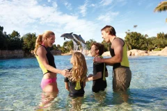 Discovery Cove