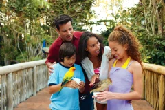 Discovery Cove