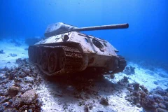 Diving Experience in the Red Sea