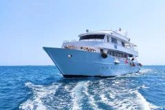 Diving Experience in the Red Sea