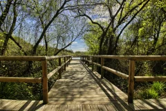 Doñana Day Trips from Seville