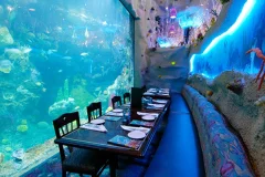 Downtown Aquarium Denver
