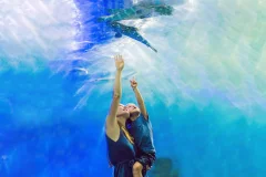 Dubai Aquarium & Underwater Zoo
