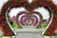 Dubai Butterfly Garden