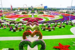 Dubai Butterfly Garden