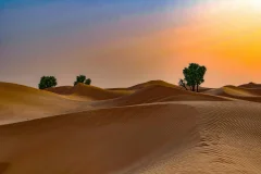 Dubai Desert Safari