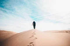 Dubai Desert Safari