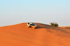Dubai Desert Safari