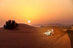 Dubai Desert Safari