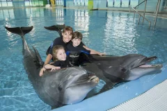 Dubai Dolphinarium
