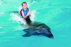 Dubai Dolphinarium