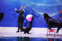 Dubai Dolphinarium