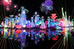 Dubai Garden Glow