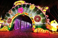Dubai Garden Glow