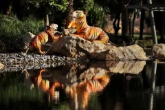 Dubai Garden Glow