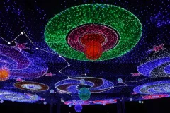Dubai Garden Glow
