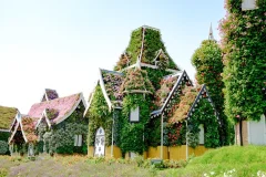 Dubai Miracle Garden