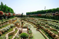 Dubai Miracle Garden