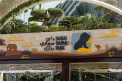 Dubai Safari Park