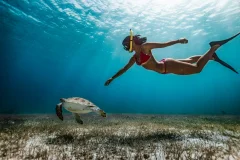 East Coast Day Trips from Dubai