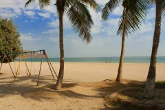 East Coast Day Trips from Dubai