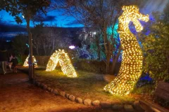 El Bosque Encantado