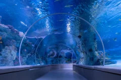Emaar Aquarium
