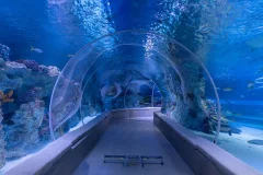 Emaar Aquarium