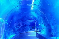 Emaar Aquarium