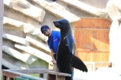 Emirates Park Zoo