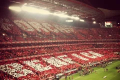 Estádio da Luz