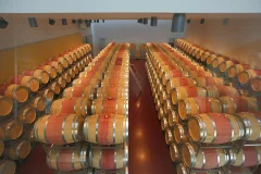 Esterházy Winery