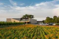Esterházy Winery