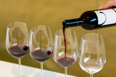 Esterházy Winery