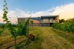 Esterházy Winery