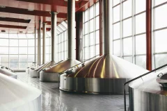 Estrella Damm Factory