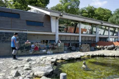 Exploris Aquarium