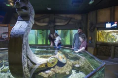 Exploris Aquarium