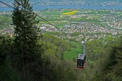Felsenegg