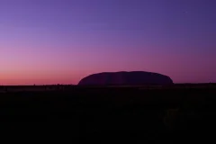 Field of Light Uluru