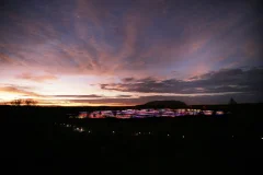 Field of Light Uluru