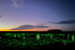 Field of Light Uluru
