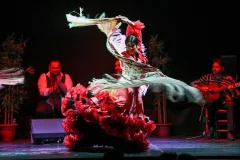 Flamenco Barcelona City Hall Theater