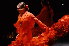 Flamenco Barcelona City Hall Theater